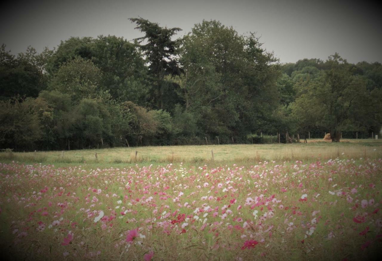Le Gite Du Chene Rouvre Corbeil-Cerf Exterior foto