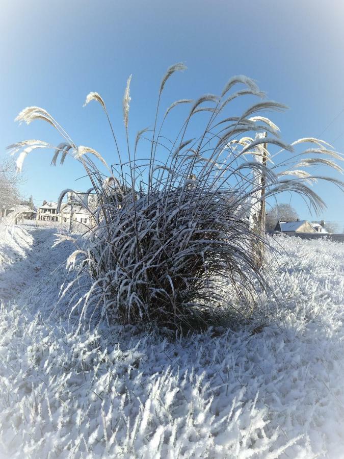 Le Gite Du Chene Rouvre Corbeil-Cerf Exterior foto